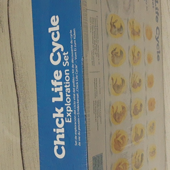 Learning Resources Chick Life Cycle Exploration Set Educational Science Kit NIB - Picture 10 of 11